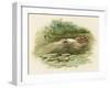 Hamlet, Ophelia Drowns-Harold Copping-Framed Art Print