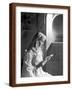 Brown Frame