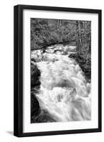 Hamma Hamma River BW-Douglas Taylor-Framed Photographic Print