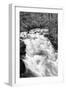 Hamma Hamma River BW-Douglas Taylor-Framed Photographic Print