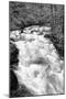 Hamma Hamma River BW-Douglas Taylor-Mounted Photographic Print