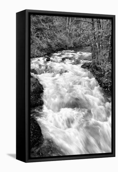 Hamma Hamma River BW-Douglas Taylor-Framed Stretched Canvas