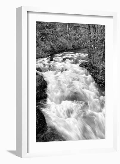 Hamma Hamma River BW-Douglas Taylor-Framed Photo