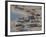 Hammamet Waterfront, Cap Bon, Tunisia-Walter Bibikow-Framed Photographic Print