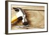 Hammer and Nails on Wood-STILLFX-Framed Photographic Print