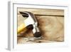 Hammer and Nails on Wood-STILLFX-Framed Photographic Print