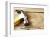 Hammer and Nails on Wood-STILLFX-Framed Photographic Print