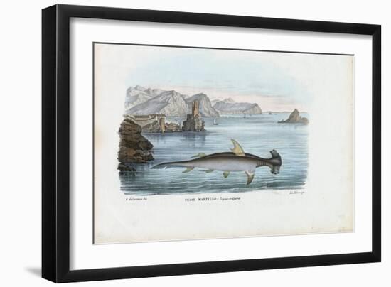 Hammerhead, 1863-79-Raimundo Petraroja-Framed Giclee Print