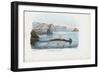 Hammerhead, 1863-79-Raimundo Petraroja-Framed Giclee Print