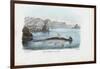 Hammerhead, 1863-79-Raimundo Petraroja-Framed Giclee Print