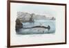 Hammerhead, 1863-79-Raimundo Petraroja-Framed Giclee Print