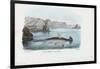 Hammerhead, 1863-79-Raimundo Petraroja-Framed Giclee Print