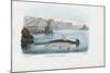 Hammerhead, 1863-79-Raimundo Petraroja-Mounted Giclee Print