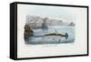 Hammerhead, 1863-79-Raimundo Petraroja-Framed Stretched Canvas