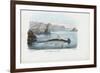 Hammerhead, 1863-79-Raimundo Petraroja-Framed Giclee Print