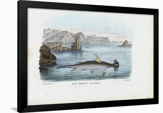 Hammerhead, 1863-79-Raimundo Petraroja-Framed Giclee Print