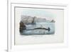 Hammerhead, 1863-79-Raimundo Petraroja-Framed Premium Giclee Print