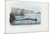 Hammerhead, 1863-79-Raimundo Petraroja-Mounted Premium Giclee Print