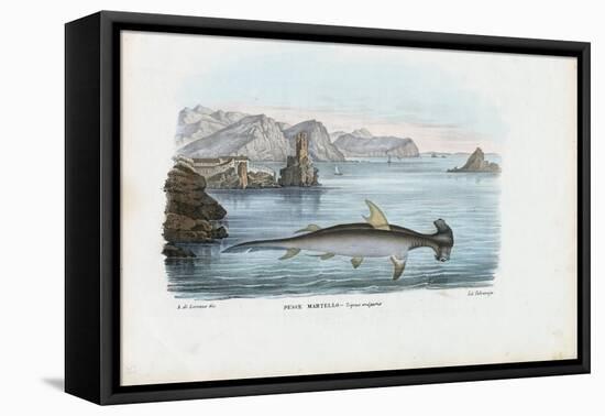 Hammerhead, 1863-79-Raimundo Petraroja-Framed Stretched Canvas