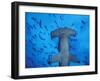 Hammerhead Shark from Below, Galapagos Islands, Ecuador-Stuart Westmoreland-Framed Premium Photographic Print