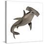 Hammerhead Shark-null-Stretched Canvas