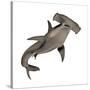 Hammerhead Shark-null-Stretched Canvas