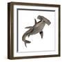 Hammerhead Shark-null-Framed Art Print
