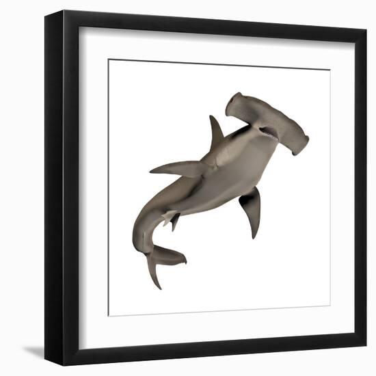 Hammerhead Shark-null-Framed Art Print