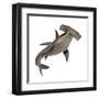 Hammerhead Shark-null-Framed Art Print