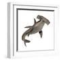 Hammerhead Shark-null-Framed Art Print