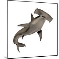 Hammerhead Shark-null-Mounted Art Print