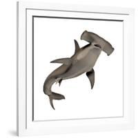 Hammerhead Shark-null-Framed Art Print