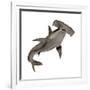 Hammerhead Shark-null-Framed Art Print