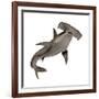 Hammerhead Shark-null-Framed Art Print