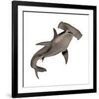 Hammerhead Shark-null-Framed Art Print