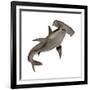 Hammerhead Shark-null-Framed Art Print