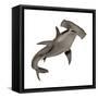 Hammerhead Shark-null-Framed Stretched Canvas