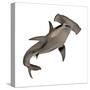 Hammerhead Shark-null-Stretched Canvas