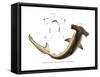 Hammerhead-null-Framed Stretched Canvas