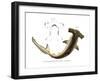 Hammerhead-null-Framed Giclee Print