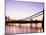 Hammersmith Bridge, London, England, United Kingdom-Nick Wood-Mounted Photographic Print