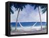 Hammock, 2005-Lincoln Seligman-Framed Stretched Canvas