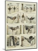 Hammock and I-William Ralston-Mounted Giclee Print