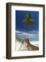 Hammock and Palm Tree, Maldives, Indian Ocean-Sakis Papadopoulos-Framed Photographic Print