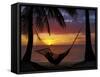 Hammock and Sunset, Plantation Island Resort, Malolo Lailai Island, Mamanuca Islands, Fiji-David Wall-Framed Stretched Canvas