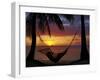 Hammock and Sunset, Plantation Island Resort, Malolo Lailai Island, Mamanuca Islands, Fiji-David Wall-Framed Premium Photographic Print