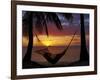 Hammock and Sunset, Plantation Island Resort, Malolo Lailai Island, Mamanuca Islands, Fiji-David Wall-Framed Photographic Print