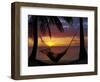 Hammock and Sunset, Plantation Island Resort, Malolo Lailai Island, Mamanuca Islands, Fiji-David Wall-Framed Photographic Print