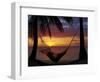 Hammock and Sunset, Plantation Island Resort, Malolo Lailai Island, Mamanuca Islands, Fiji-David Wall-Framed Photographic Print