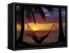 Hammock and Sunset, Plantation Island Resort, Malolo Lailai Island, Mamanuca Islands, Fiji-David Wall-Framed Stretched Canvas